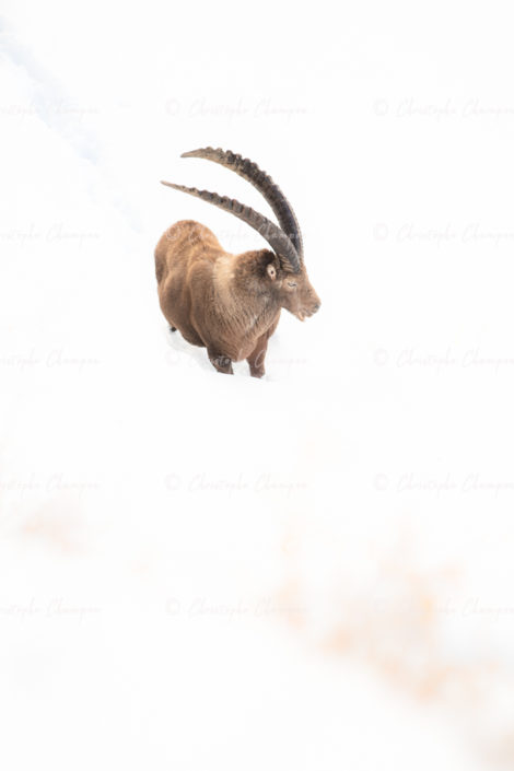 N°143: Affronter l’hiver