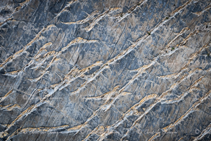 N° 309 : La paroi des hiéroglyphes.