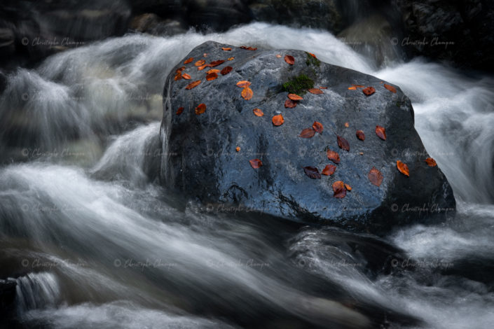 N° 315 : Indices de saison.