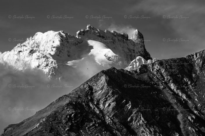 N°318 : Le vautour et la Meije.