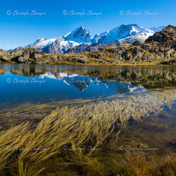 N° 320 : Le plus beau des miroirs.