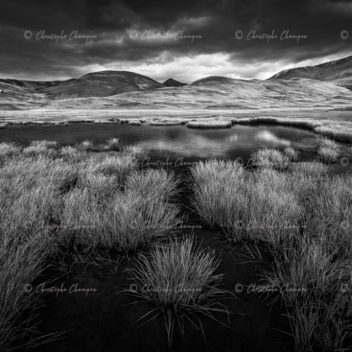 N° 375 : Tourbière d’altitude 2